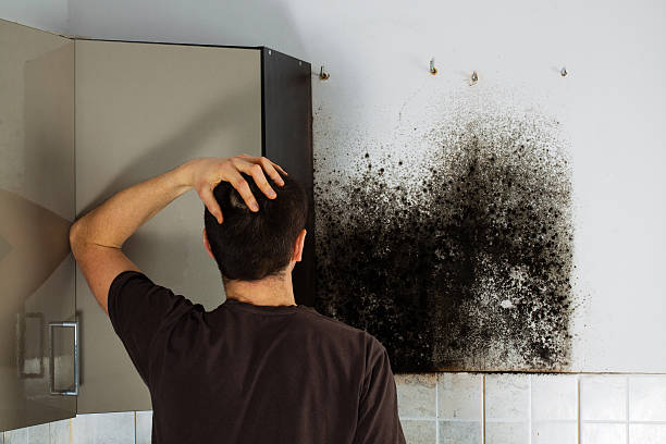 Best Crawl Space Mold Removal  in Mauriceville, TX